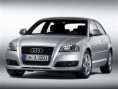 /album/fotky/p2122a61c-audi-a3-face-04-jpg/